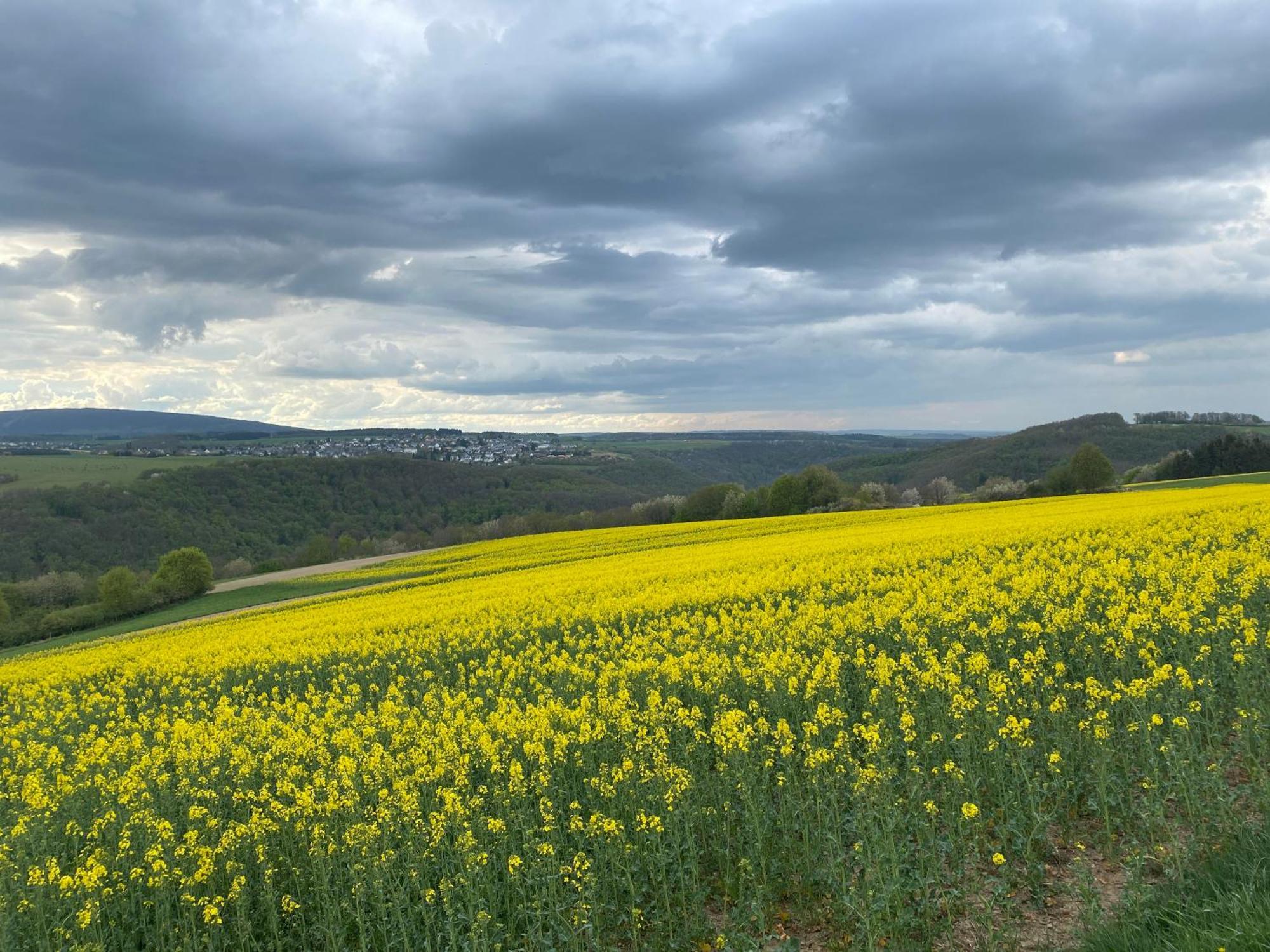 Hunsrueck Valley View Apartment With Cedar Sauna Bruschied ภายนอก รูปภาพ